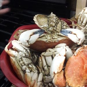 Meet your Posher, Kiah